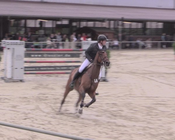 Reitturnier Appelhülsen 2015