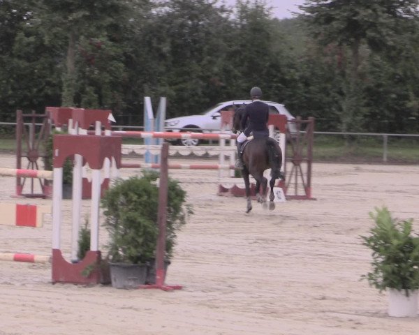 Reitturnier Appelhülsen 2015