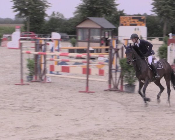 Reitturnier Appelhülsen 2015