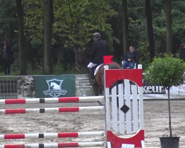 Wickrather Reitertage 2015