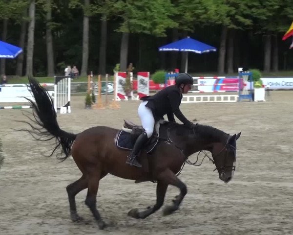 Wickrather Reitertage 2015