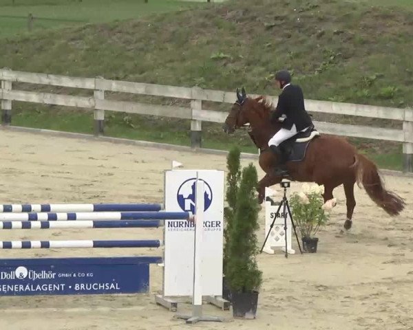 Reitturnier Linkenheim-Hochstetten 2015
