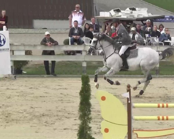 Reitturnier Linkenheim-Hochstetten 2015