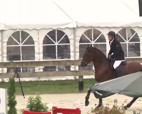 Reitturnier Linkenheim-Hochstetten 2015