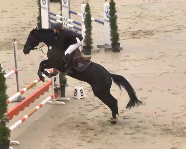 Reitturnier Linkenheim-Hochstetten 2015