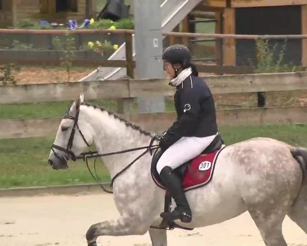 Reitturnier Linkenheim-Hochstetten 2015