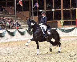 Dressurpferd Dark Dancer 22 (Hannoveraner, 2007, von Dancier)