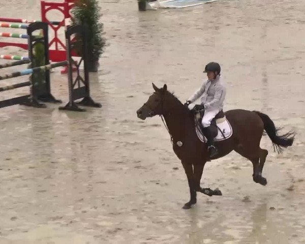 Reitturnier Linkenheim-Hochstetten 2015