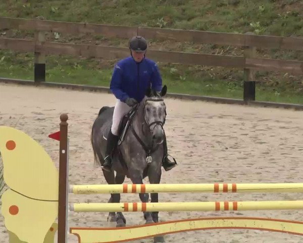 Reitturnier Linkenheim-Hochstetten 2015