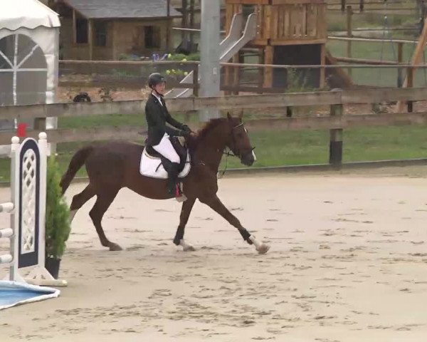 Reitturnier Linkenheim-Hochstetten 2015