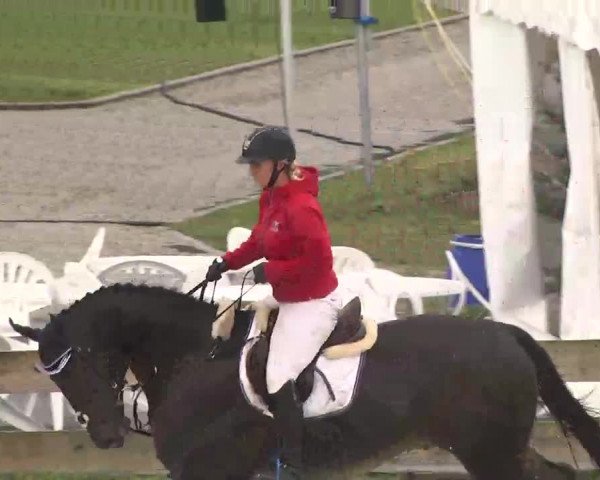 Reitturnier Linkenheim-Hochstetten 2015