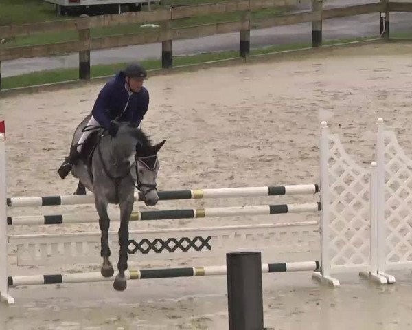 Reitturnier Linkenheim-Hochstetten 2015
