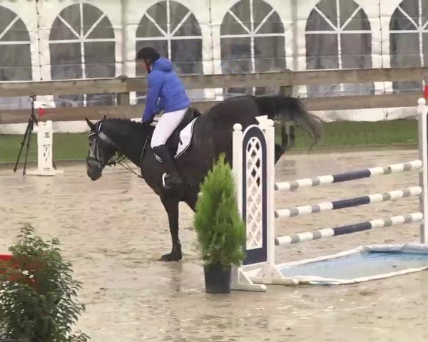 Reitturnier Linkenheim-Hochstetten 2015