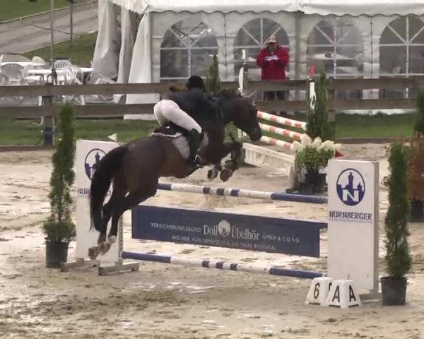 Reitturnier Linkenheim-Hochstetten 2015