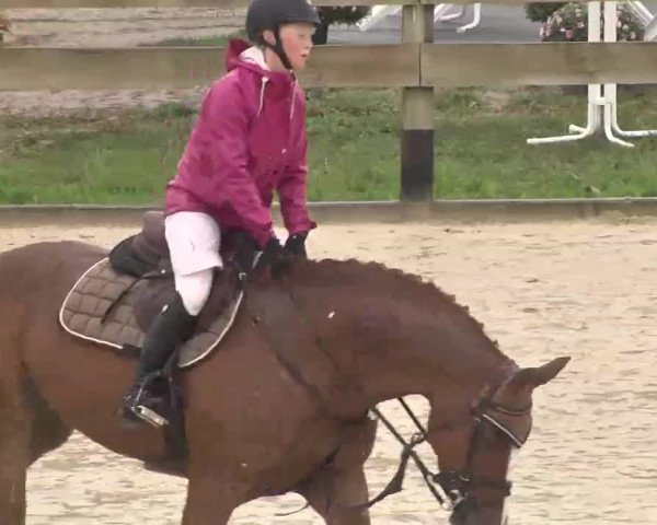 Reitturnier Linkenheim-Hochstetten 2015