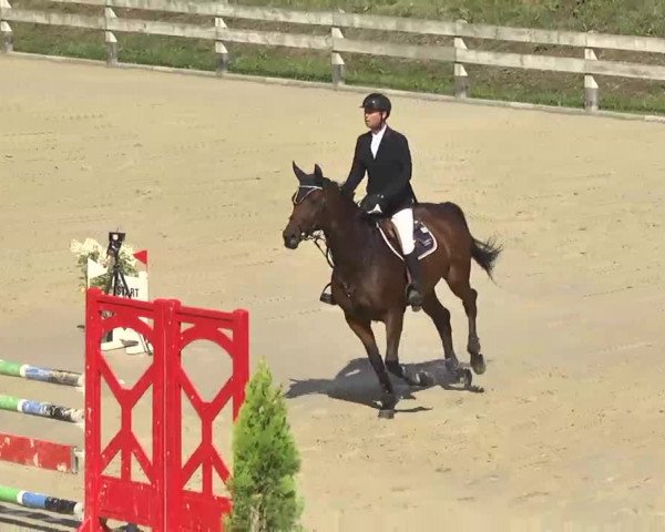 Reitturnier Linkenheim-Hochstetten 2015