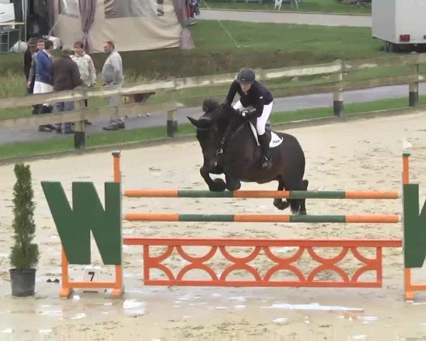 Reitturnier Linkenheim-Hochstetten 2015