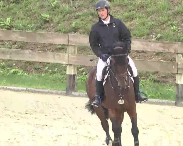Reitturnier Linkenheim-Hochstetten 2015
