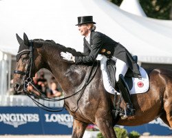dressage horse TSF Dalera BB (Trakehner, 2007, from Easy Game)