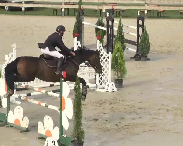 Reitturnier Linkenheim-Hochstetten 2015