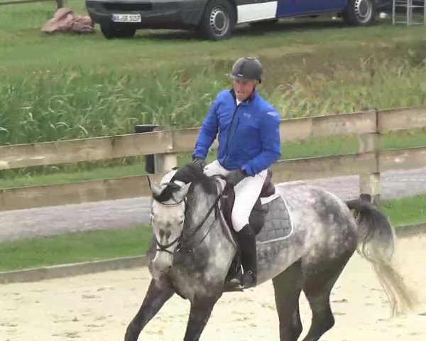 Reitturnier Linkenheim-Hochstetten 2015