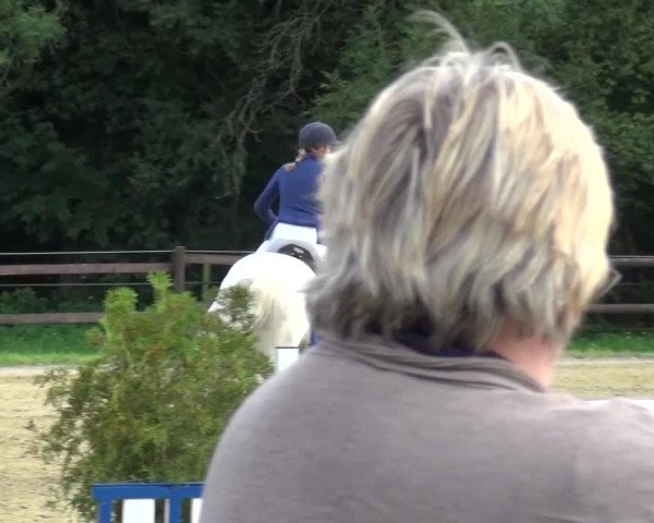 Reitturnier Bergisch Gladbach-Paffrath 2015