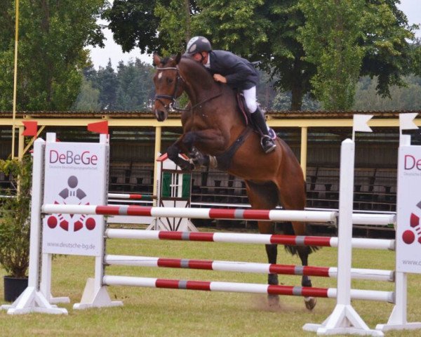 broodmare Caprice B (German Warmblood, 2009, from Clinton I)