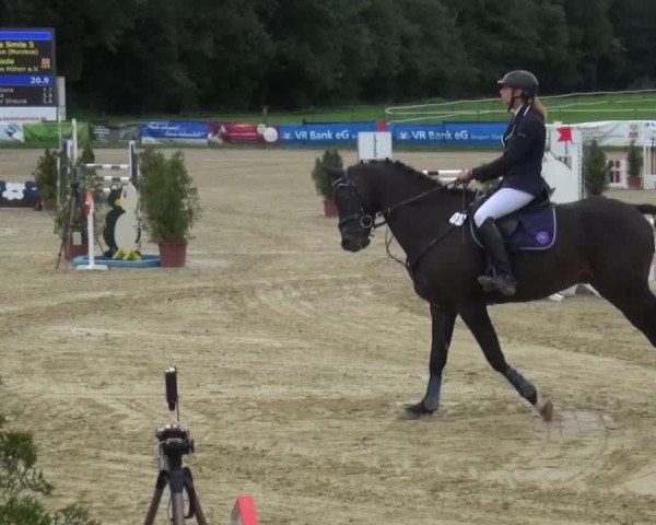 Reitturnier Bergisch Gladbach-Paffrath 2015