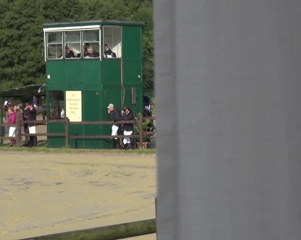 Reitturnier Bergisch Gladbach-Paffrath 2015