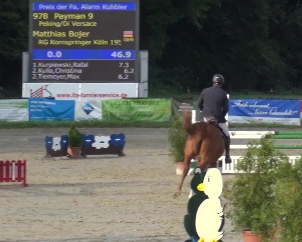 Reitturnier Bergisch Gladbach-Paffrath 2015