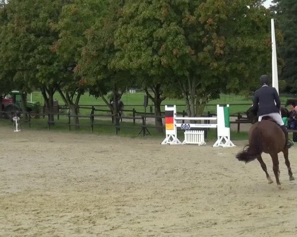 Reitturnier Bergisch Gladbach-Paffrath 2015