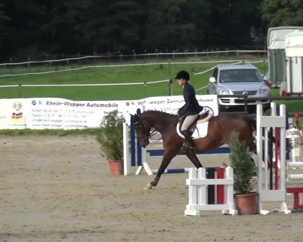 Reitturnier Bergisch Gladbach-Paffrath 2015