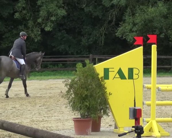 Reitturnier Bergisch Gladbach-Paffrath 2015