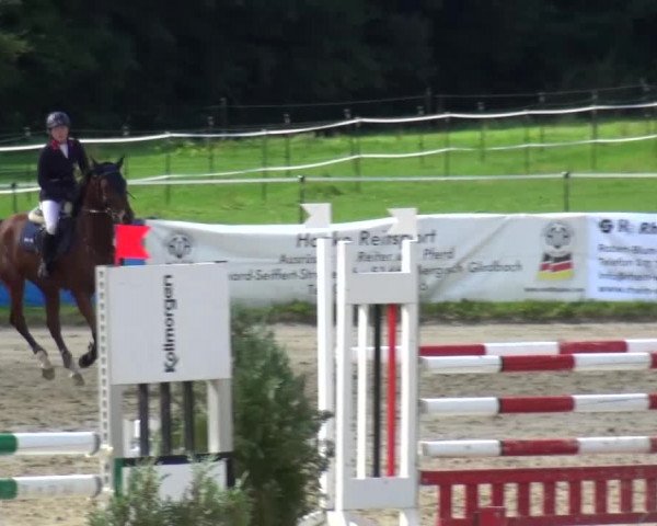 Reitturnier Bergisch Gladbach-Paffrath 2015