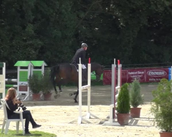 Reitturnier Bergisch Gladbach-Paffrath 2015