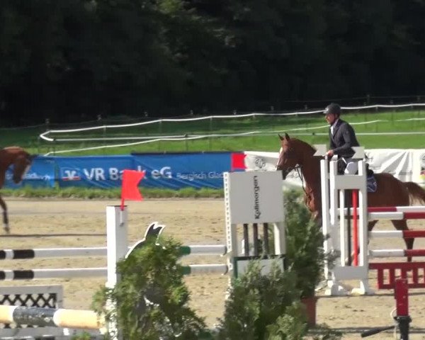 Reitturnier Bergisch Gladbach-Paffrath 2015