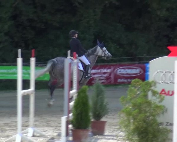 Reitturnier Bergisch Gladbach-Paffrath 2015