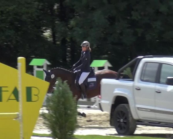 Reitturnier Bergisch Gladbach-Paffrath 2015