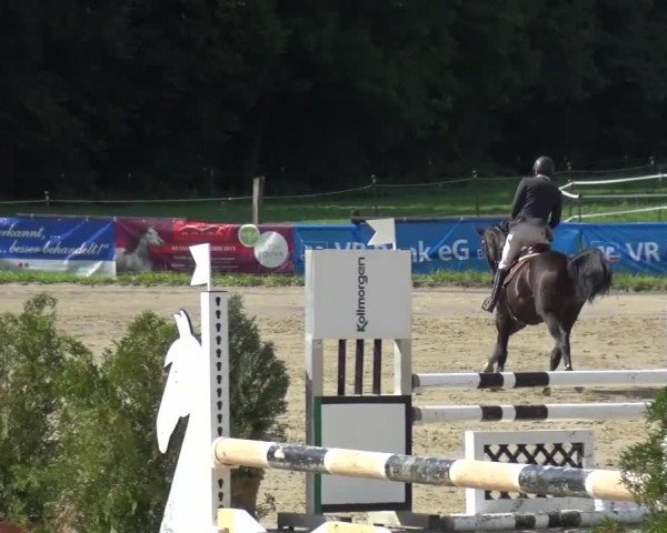 Reitturnier Bergisch Gladbach-Paffrath 2015