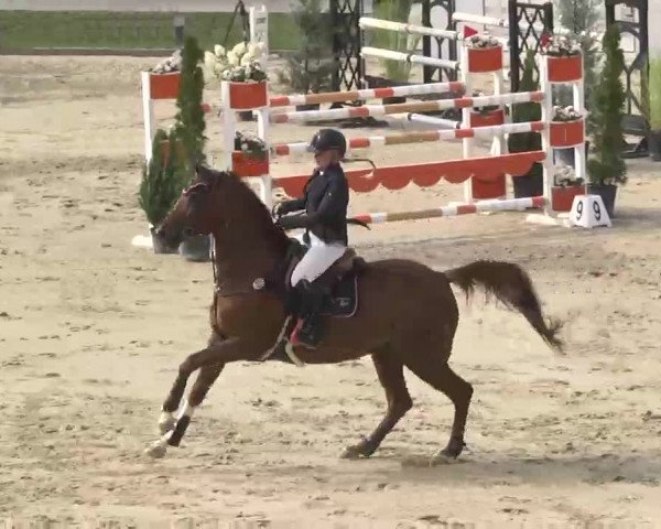 Reitturnier Linkenheim-Hochstetten 2015