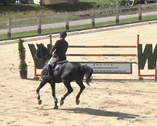 Reitturnier Linkenheim-Hochstetten 2015