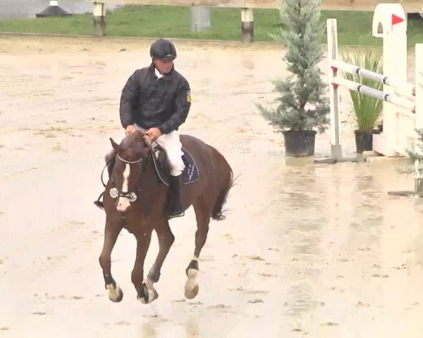 Reitturnier Linkenheim-Hochstetten 2015