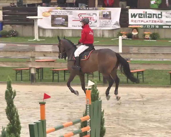 Reitturnier Linkenheim-Hochstetten 2015