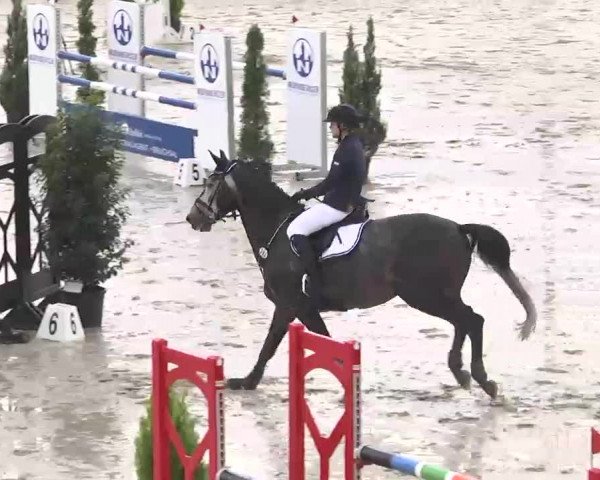 Reitturnier Linkenheim-Hochstetten 2015