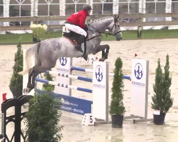 Reitturnier Linkenheim-Hochstetten 2015