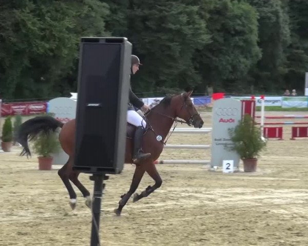 Reitturnier Bergisch Gladbach-Paffrath 2015