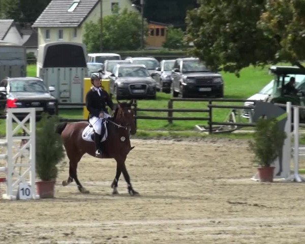 Reitturnier Bergisch Gladbach-Paffrath 2015