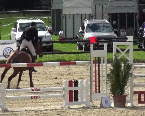 Reitturnier Bergisch Gladbach-Paffrath 2015