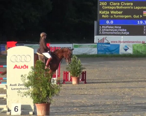 Reitturnier Bergisch Gladbach-Paffrath 2015