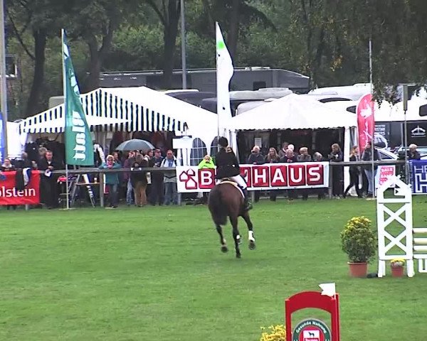 Reitturnier Bad Segeberg 2015